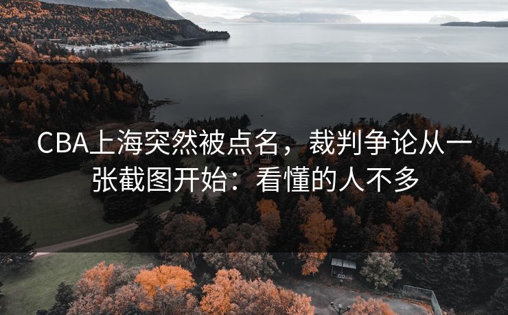 CBA上海突然被点名，裁判争论从一张截图开始：看懂的人不多