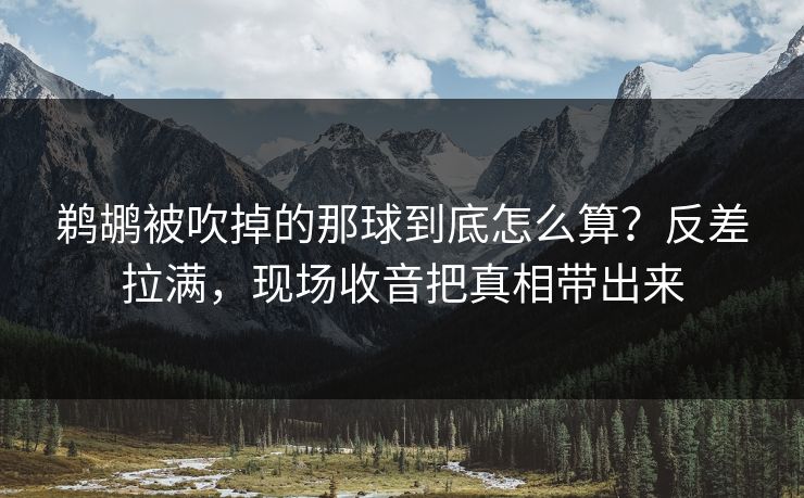 鹈鹕被吹掉的那球到底怎么算？反差拉满，现场收音把真相带出来