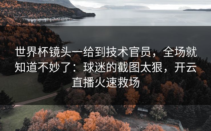 世界杯镜头一给到技术官员，全场就知道不妙了：球迷的截图太狠，开云直播火速救场