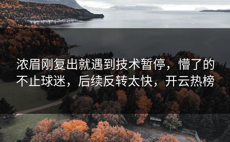 浓眉刚复出就遇到技术暂停，懵了的不止球迷，后续反转太快，开云热榜