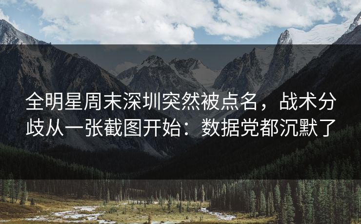 全明星周末深圳突然被点名，战术分歧从一张截图开始：数据党都沉默了