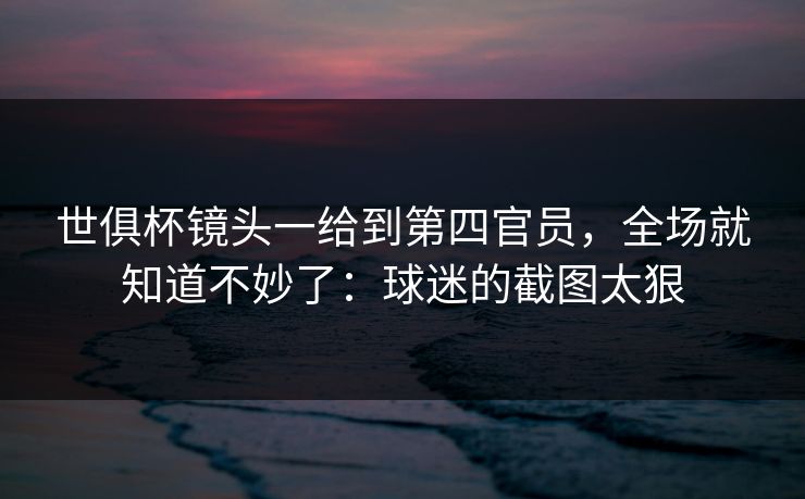 世俱杯镜头一给到第四官员，全场就知道不妙了：球迷的截图太狠