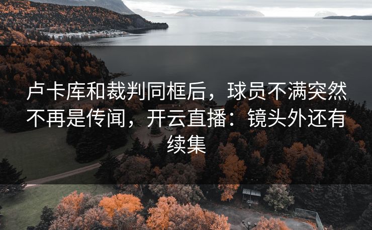 卢卡库和裁判同框后，球员不满突然不再是传闻，开云直播：镜头外还有续集