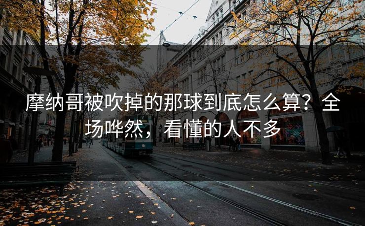 摩纳哥被吹掉的那球到底怎么算？全场哗然，看懂的人不多