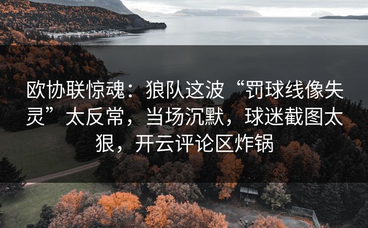 欧协联惊魂：狼队这波“罚球线像失灵”太反常，当场沉默，球迷截图太狠，开云评论区炸锅